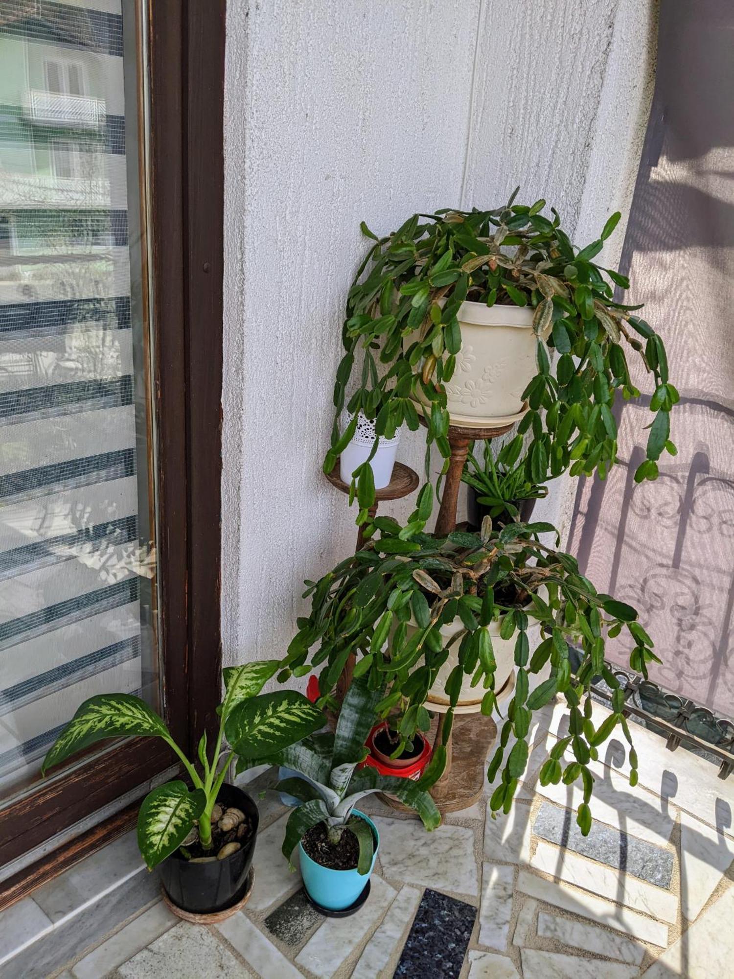 Apartmani Hrastik Bihać Quarto foto