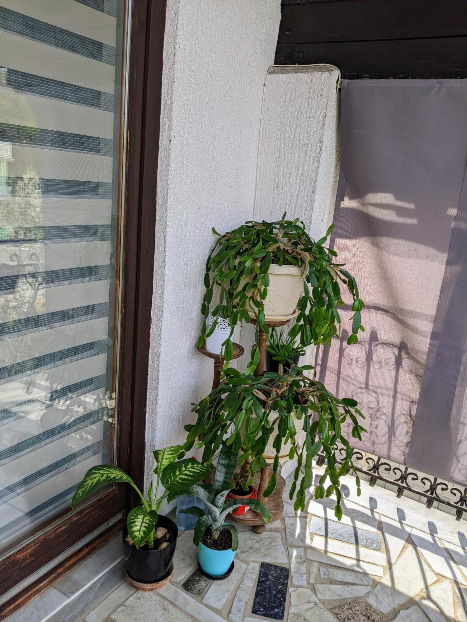 Apartmani Hrastik Bihać Quarto foto